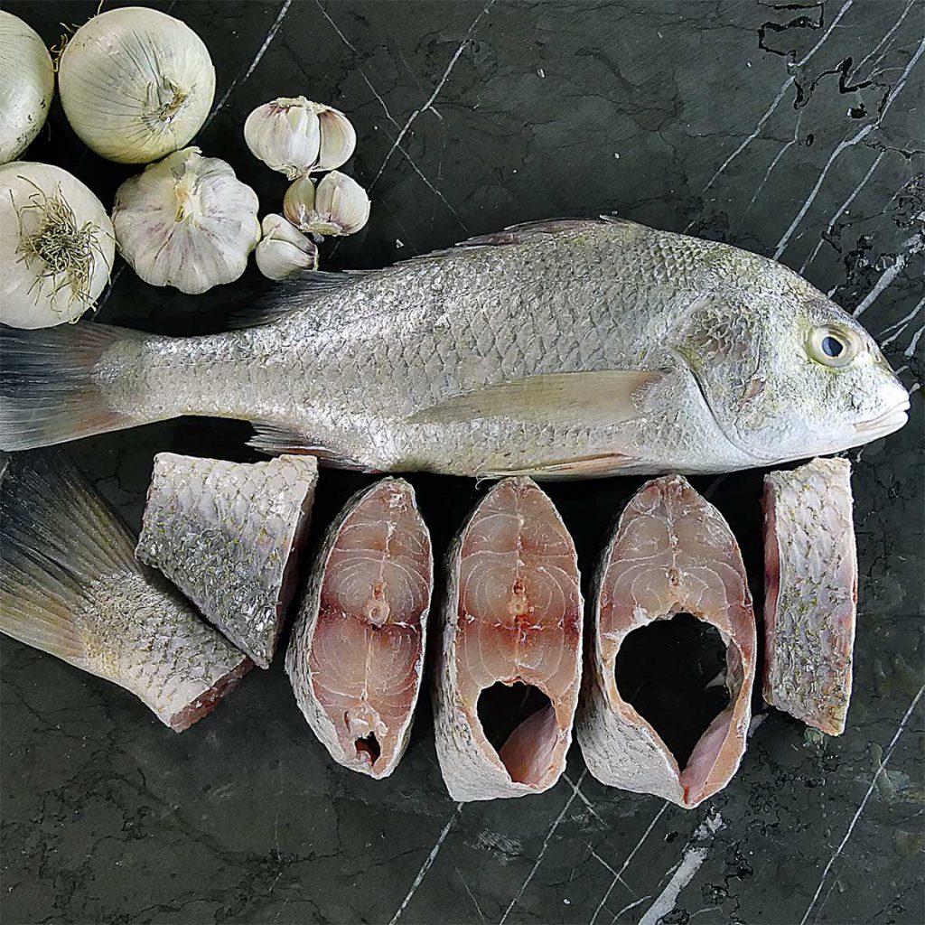 فروش ماهی سنگسر تازه جنوب