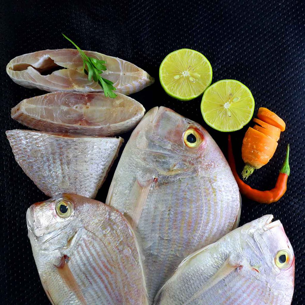 خرید ماهی جنوب شانک
