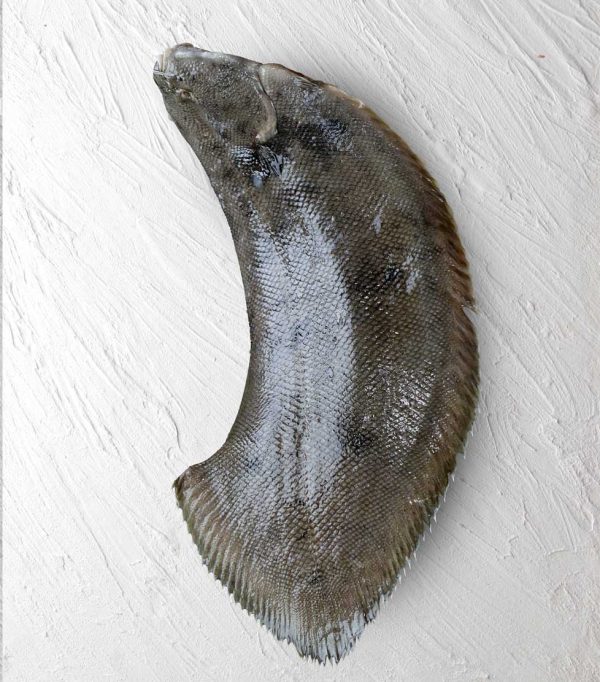 ماهی مزلک