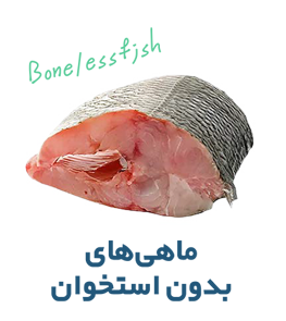 ماهی های بدون استخوان
