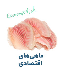 ماهی های اقتصادی