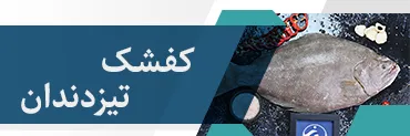 کفشک تیزدندان